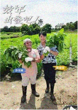 声入人心 免费影视网站